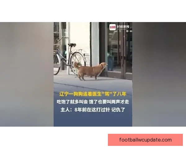 38岁助教锁喉16岁新星 国少溃败后爆发冲突一路追骂推搡引发关注